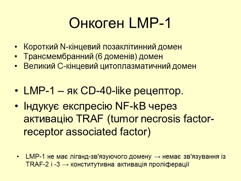Онкоген LMP-1 Короткий N-кінцевий позаклітинний домен Трансмембранний (6 доменів) домен Великий С-кінцевий цитоплазматичний домен